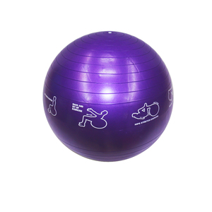 运动标瑜伽球
